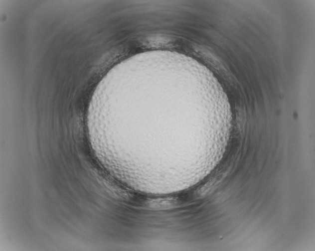 X0000077280461200611171606