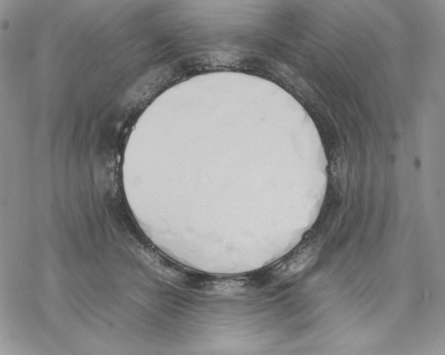 X0000077280462200611171606