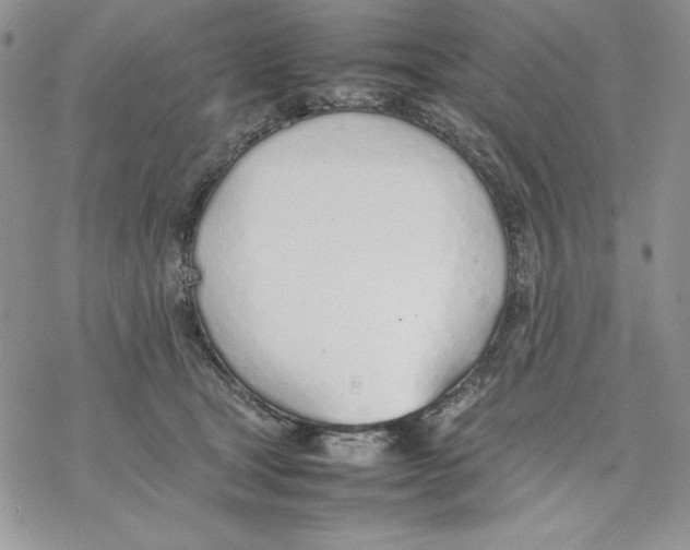 X0000077280465200611171606