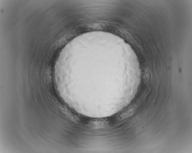 X0000077280466200611171606