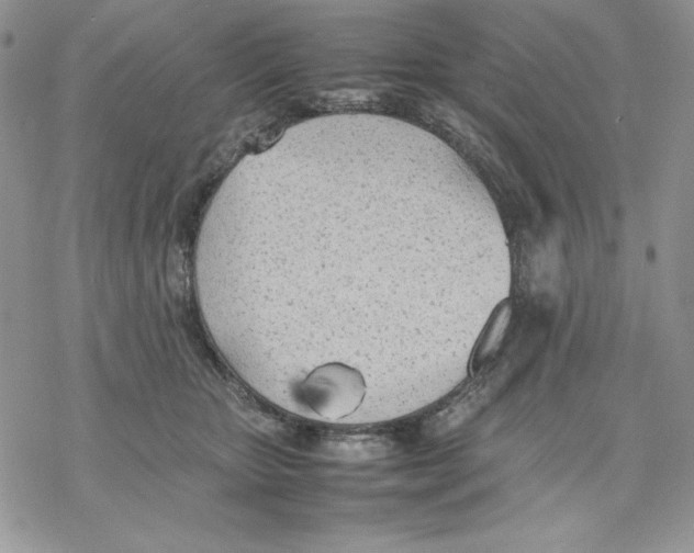 X0000077280467200611171606