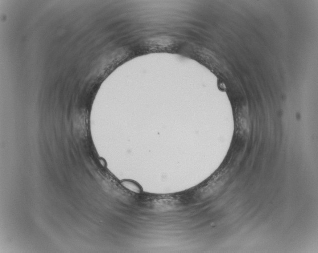 X0000077280468200611171606