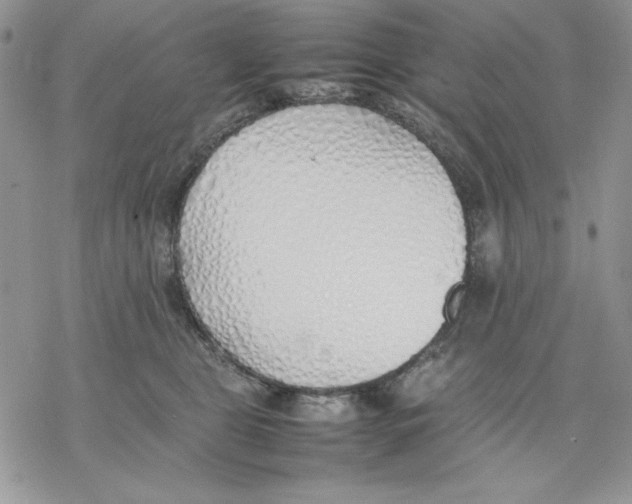 X0000077280469200611171606