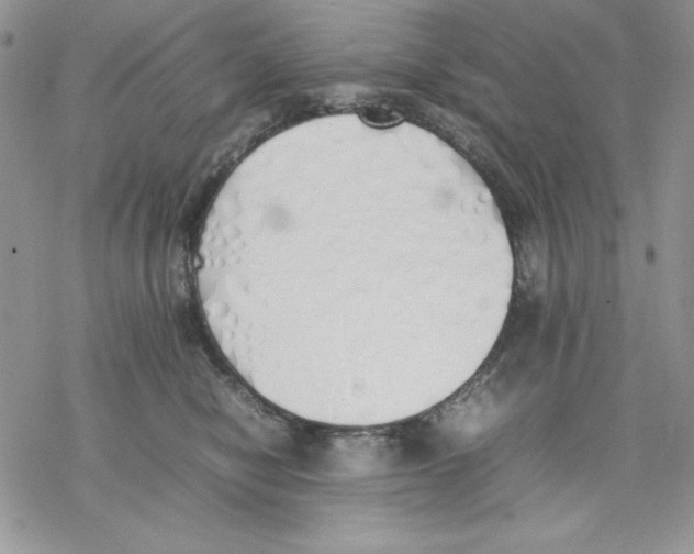 X0000077280470200611171606