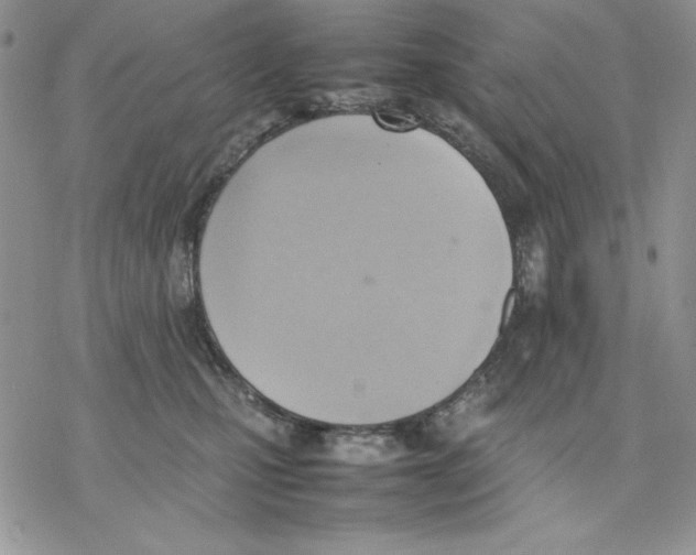 X0000077280471200611171606