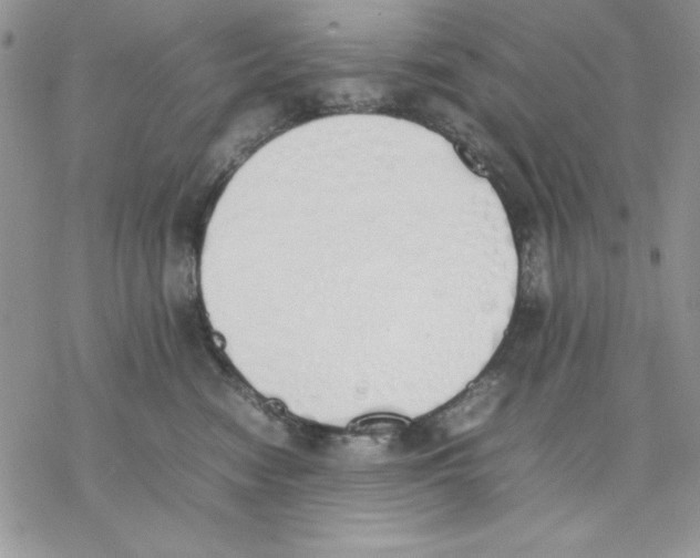 X0000077280474200611171607