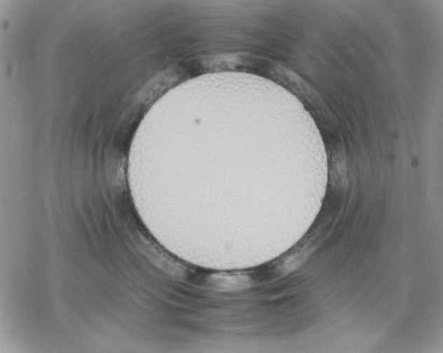 X0000077280477200611171607