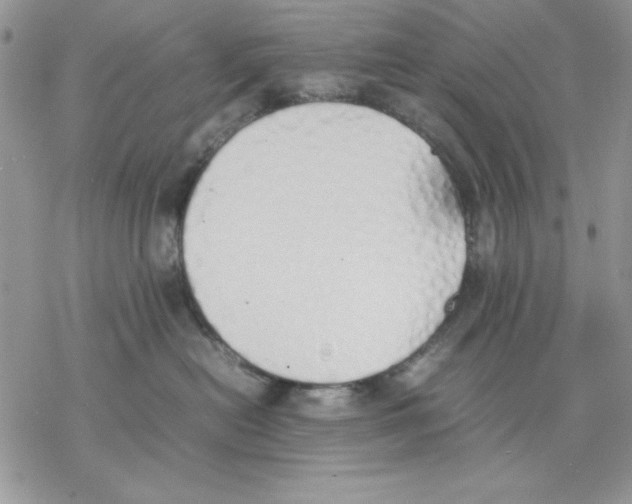 X0000077280478200611171607