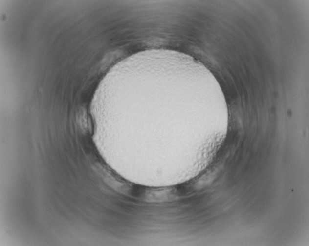 X0000077280479200611171607