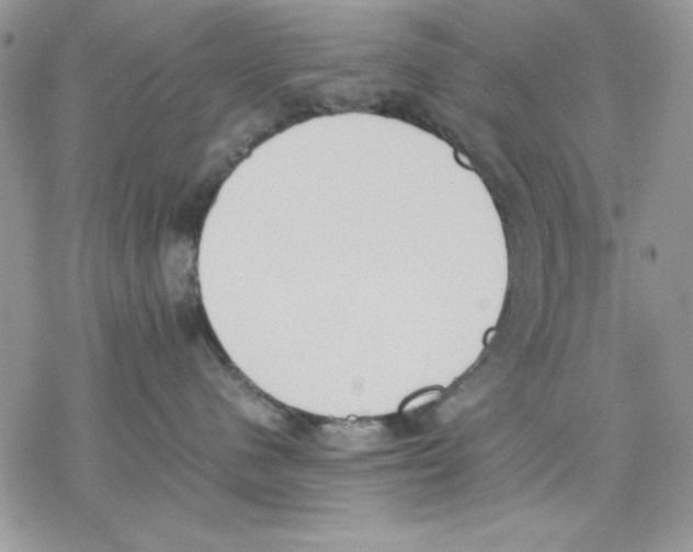 X0000077280480200611171607