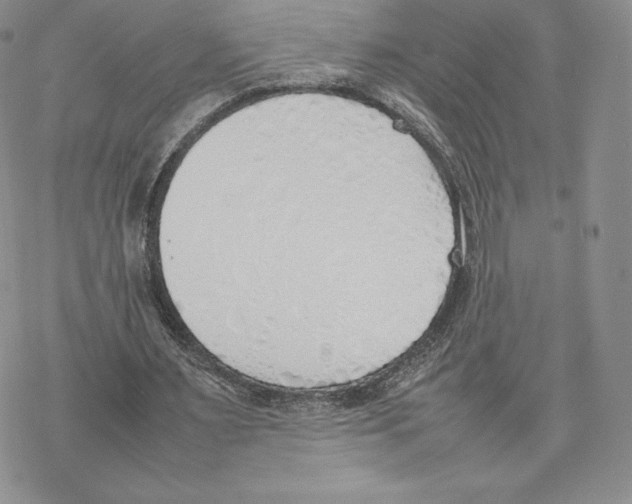 X0000077280483200611171606