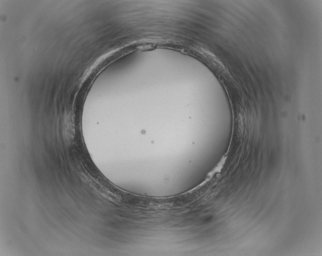 X0000077280484200611171606