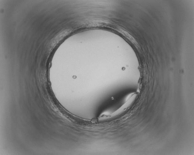 X0000077280485200611171606