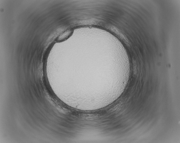 X0000077280486200611171606