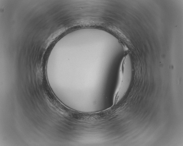 X0000077280488200611171606