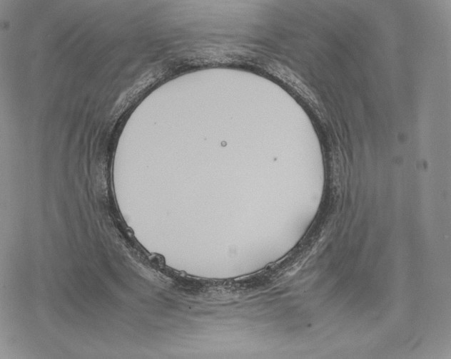 X0000077280489200611171606