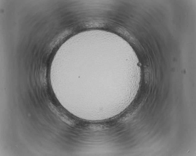 X0000077280490200611171606