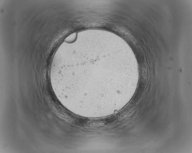 X0000077280491200611171606