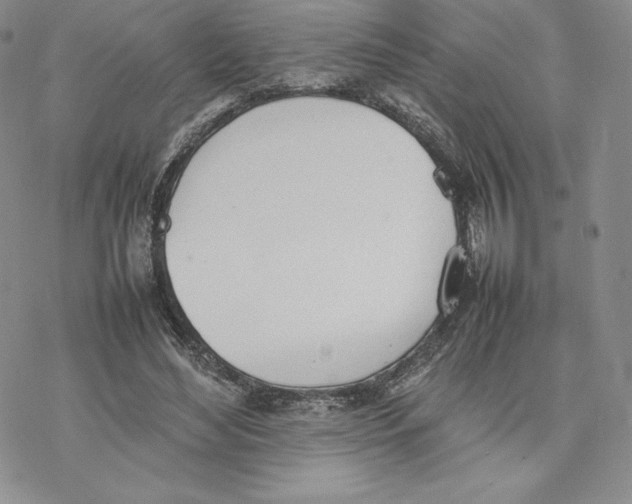 X0000077280492200611171606