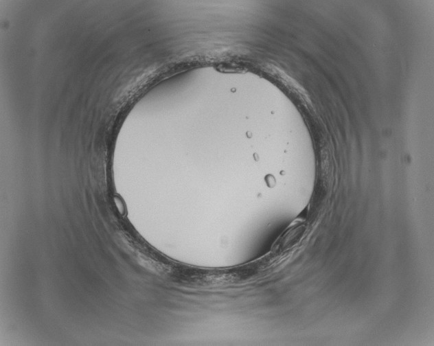 X0000077280493200611171606