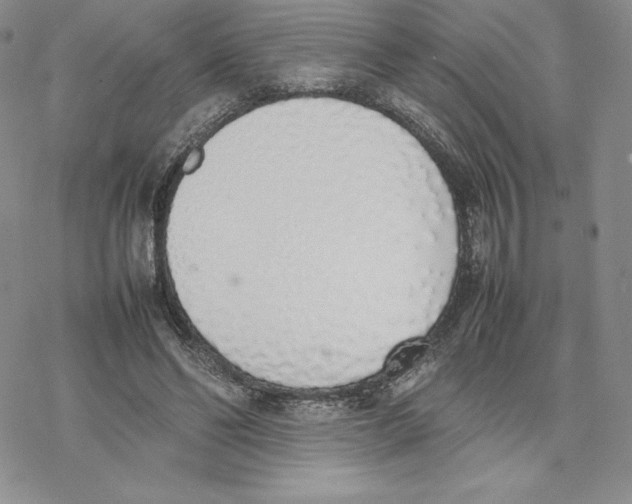 X0000077280494200611171606