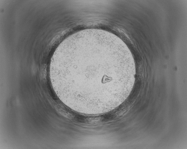 X0000077280495200611171606