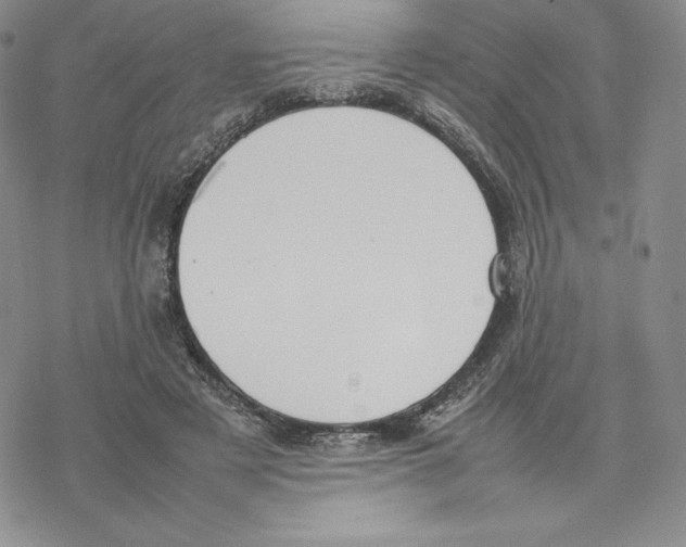 X0000077280497200611171606