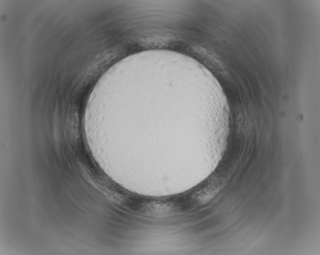 X0000077280498200611171606