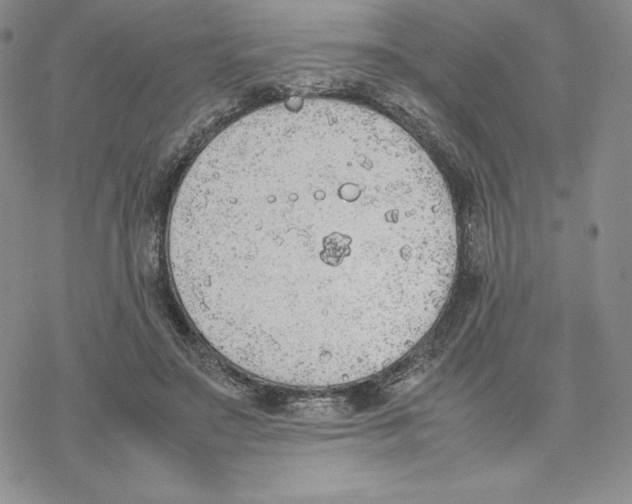 X0000077280499200611171606