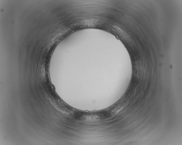 X0000077280500200611171606