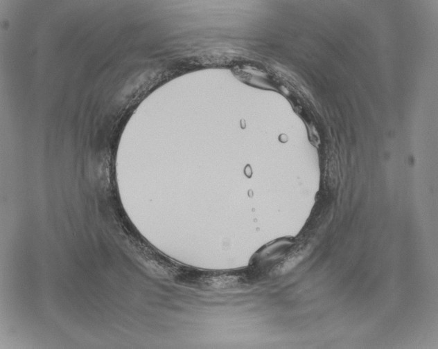 X0000077280501200611171606