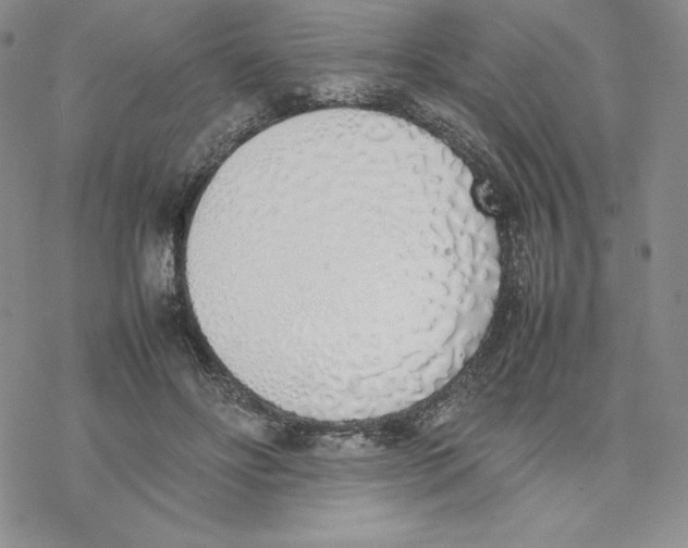 X0000077280502200611171605