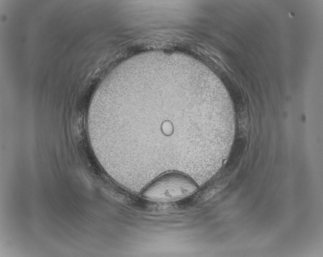 X0000077280503200611171605