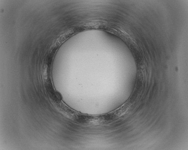 X0000077280504200611171605