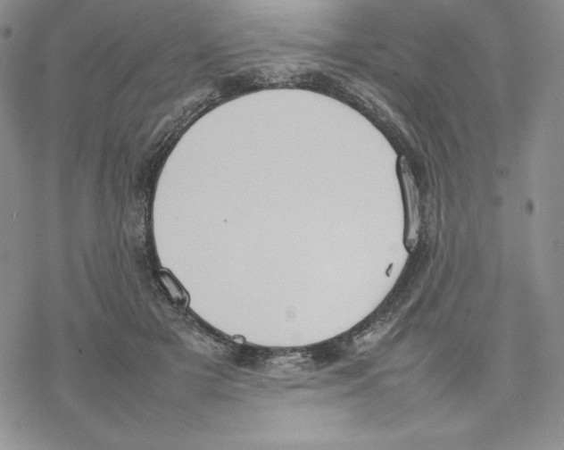 X0000077280505200611171605