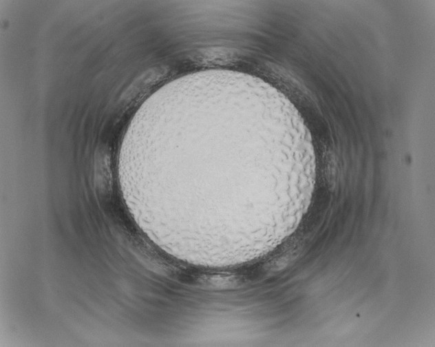 X0000077280506200611171605