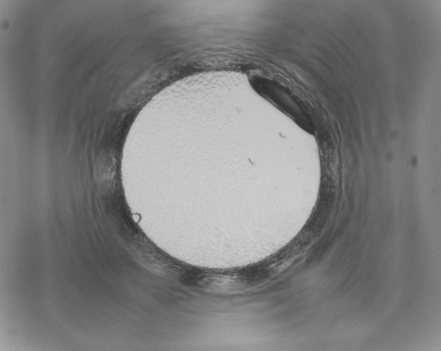 X0000077280507200611171605