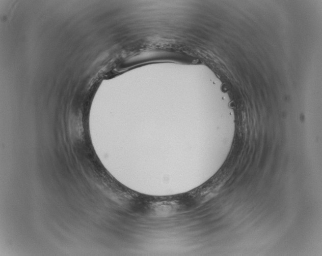 X0000077280508200611171605