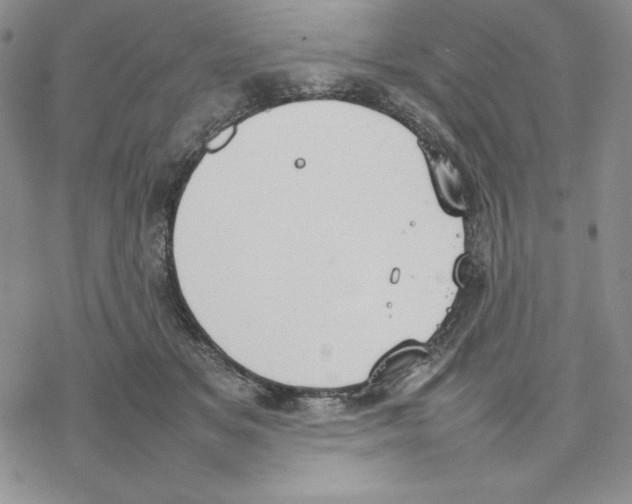 X0000077280509200611171605