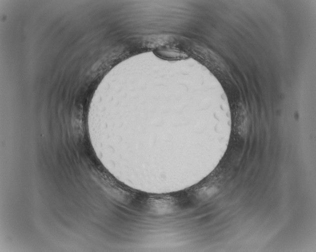 X0000077280510200611171605