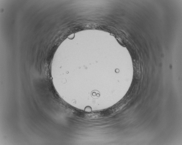 X0000077280511200611171605