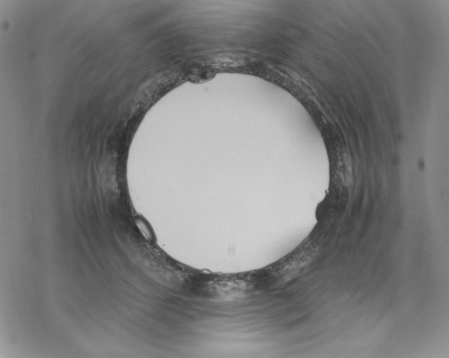 X0000077280512200611171605