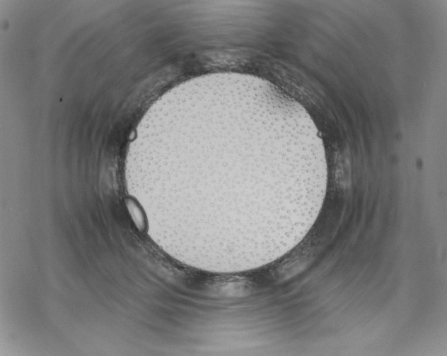 X0000077280514200611171605