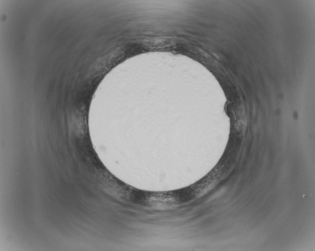 X0000077280515200611171605