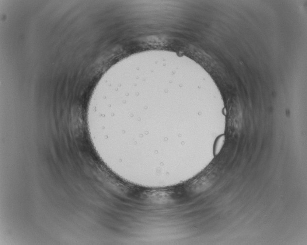 X0000077280518200611171605