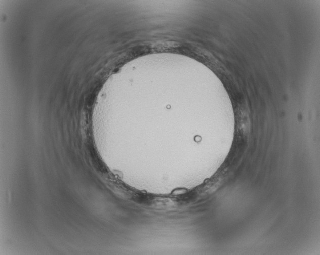 X0000077280519200611171605