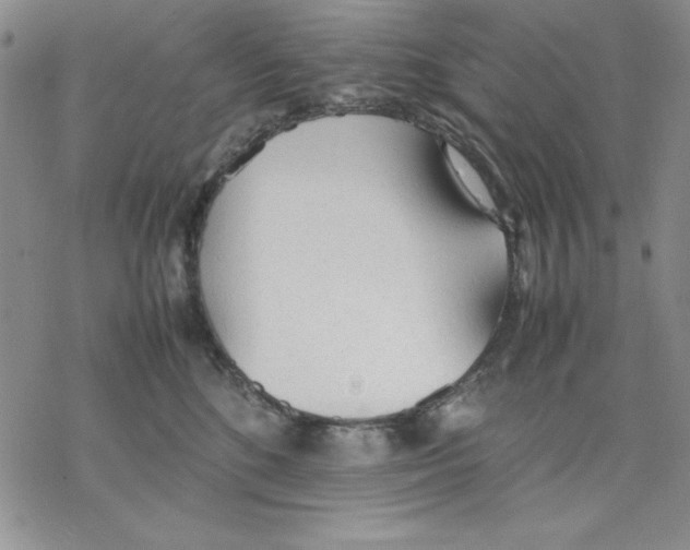 X0000077280520200611171605