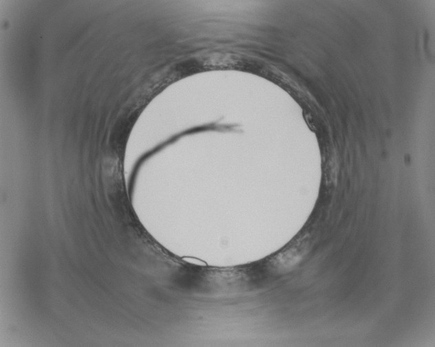 X0000077280521200611171605