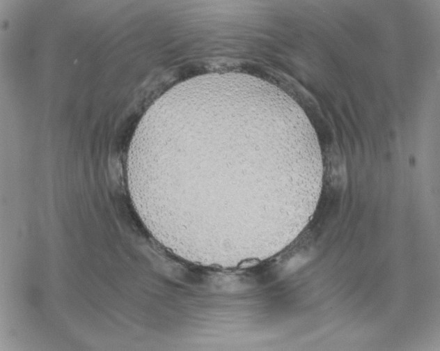 X0000077280523200611171605