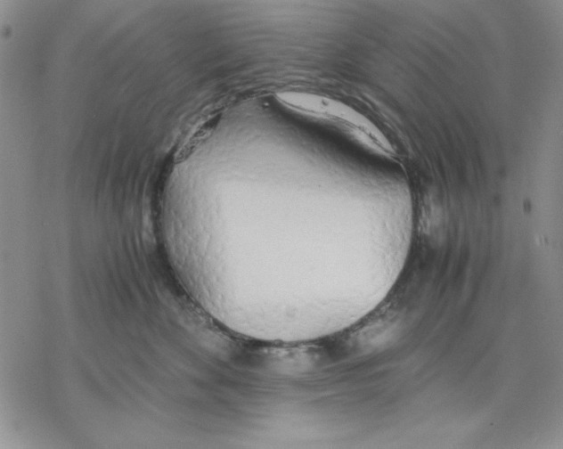 X0000077280524200611171605